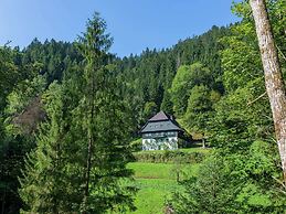 Apartment in Neukirch With Terrace