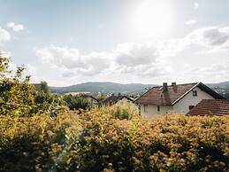 Holiday Home With Sauna in Viechtach