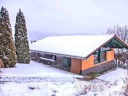 Holiday Home With Sauna in Viechtach