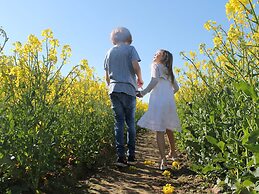 Moderne Ferienwohnung in Elmenhorst in Meeresnaehe