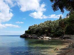 Bohemia Beach House Villa Near North-east Coast