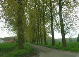 Holiday Home in Cul-des-sarts Near Forest