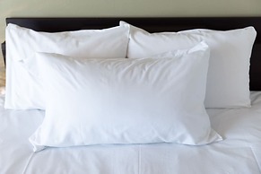 SUNDAY peace room Nakashima