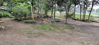 Homestay Griya Merpil - Hostel