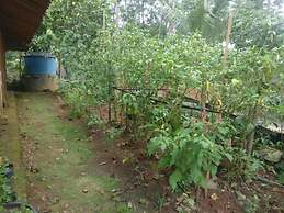 Homestay An-Nur - Hostel