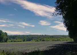Tranquil Stay in Drenthe