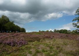 Tranquil Stay in Drenthe