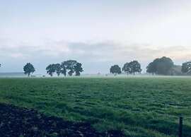 Tranquil Stay in Drenthe