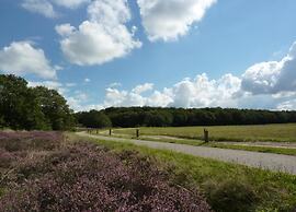 Tranquil Stay in Drenthe
