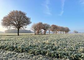Tranquil Stay in Drenthe