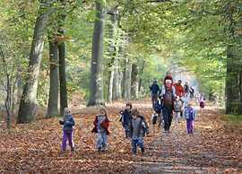 Tranquil Stay in Drenthe