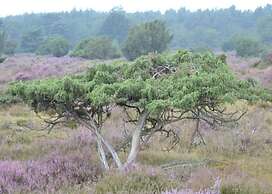 Tranquil Stay in Drenthe