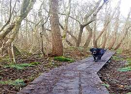 Canal Villa With Terrace