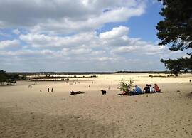 Chalet Near Loonse and Drunense Duinen