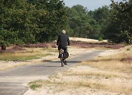 Chalet Near Loonse and Drunense Duinen