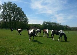 Tent Lodge Near Loonse & Drunense Dunes