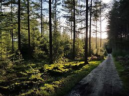 Comfortable Lodge With a Terrace
