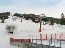 Chalet in Dienten in the Hochkoenig ski Region