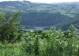 Villa in Saint-nectaire Near Ski Slopes