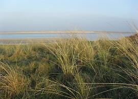 Holiday Home Near Opal Coast Wierre-effroy