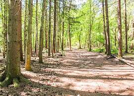 Chalet in Duinhoeve With Van Gogh Style