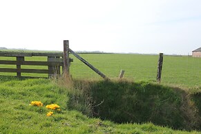 Luxury Villa in Texel