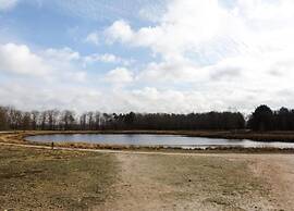 Forest Cottage Near Leenderbos