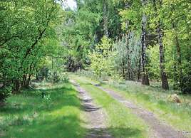 Forest Cottage Near Leenderbos