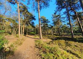Glamping With Comfort in Ijhorst