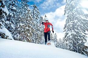 Spacious Apartment in Kleinarl near Ski Lift