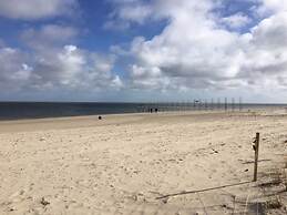 Pet-friendly Texel Escape