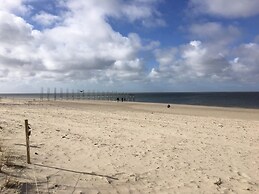 Pet-friendly Texel Escape