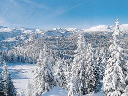 Charming Chalet With Terrace