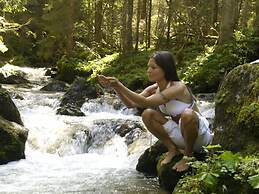 Splendid Apartment in Schladming With Sauna