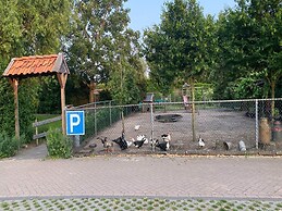 House Situated Peacefully on a Vast Green