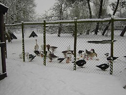House Situated Peacefully on a Vast Green