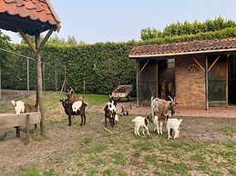 House Situated Peacefully on a Vast Green