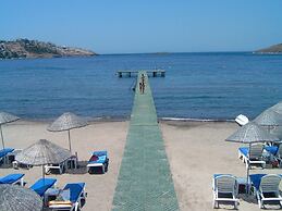 Family-friendly Villa With Pool