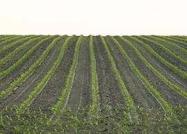 Chalet in Netherlands With Private Garden