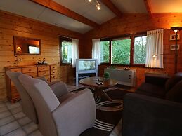 Cozy Chalet With gas Fireplace, in the Achterhoek