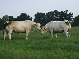 Chalet in Ootmarsum With Garden