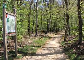 Chalet in Ootmarsum With Garden
