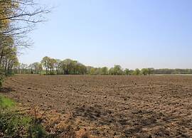 Chalet in Ootmarsum With Garden