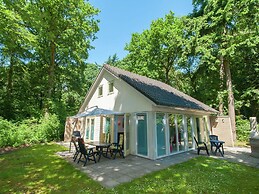 Superb Villa in the Woods of Gaasterland With Wifi and Fireplace