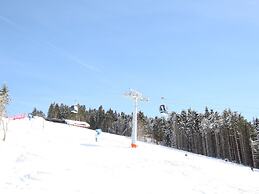 Cozy Apartment near Ski Area in Maria Alm