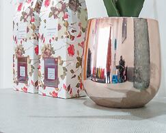 Tudors eSuites Birmingham Townhouse Private Garden Free Parking