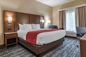 Comfort Inn & Suites Downtown near University