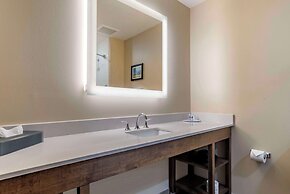 Comfort Inn & Suites Downtown near University