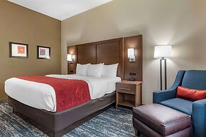 Comfort Inn & Suites Downtown near University