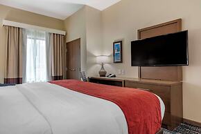 Comfort Inn & Suites Downtown near University